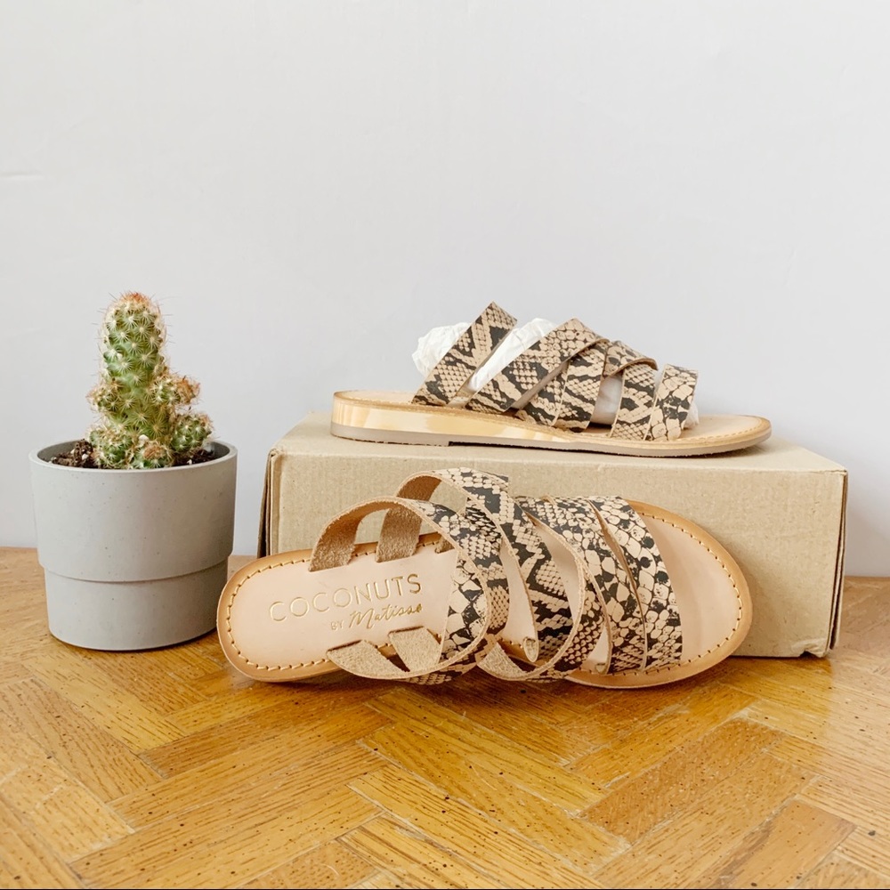 Coconuts Matisse Leather Snake Print Sandals